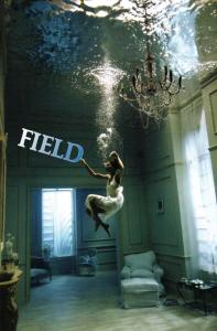 Field93