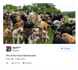 screen-shot-2017-03-04-at-10-37-40-am